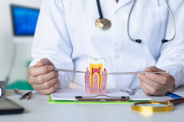 Best Same-Day Emergency Dental Services in Crockett, CA